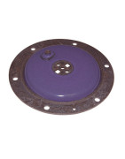 Water heater and Plate