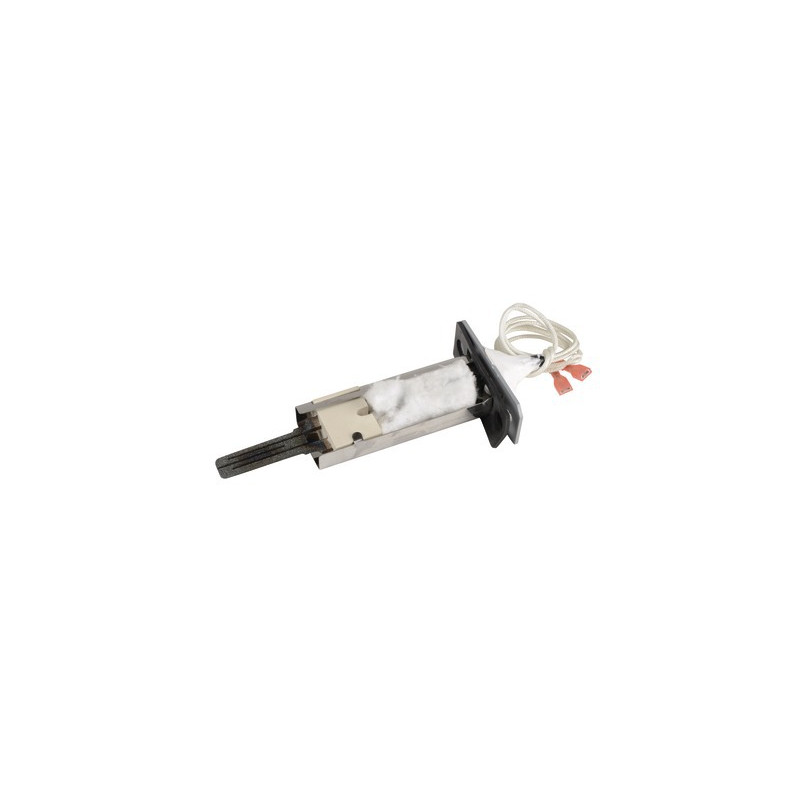 Burner electrode Athena version 1- ATLANTIC - 000087