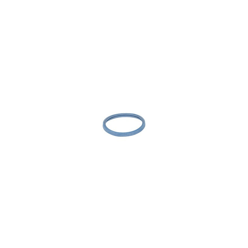 Gasket- DE DIETRICH - 0009270