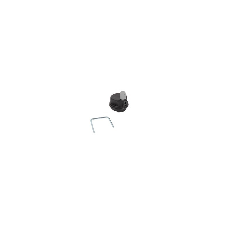 Auto air vent- VAILLANT - 0010033857