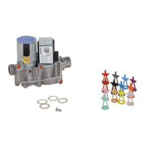 Valve- VAILLANT - 0020019992