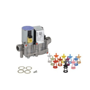 Valve- VAILLANT - 0020019992