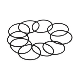 Gasket- SAUNIER DUVAL - 0020084555