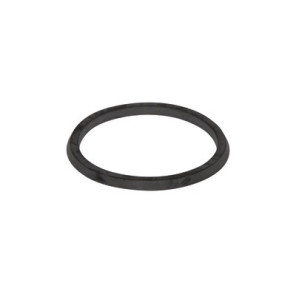 Gasket- SAUNIER DUVAL - 0020195520