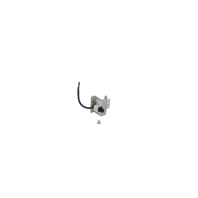 Igniter- SAUNIER DUVAL - 0020205960