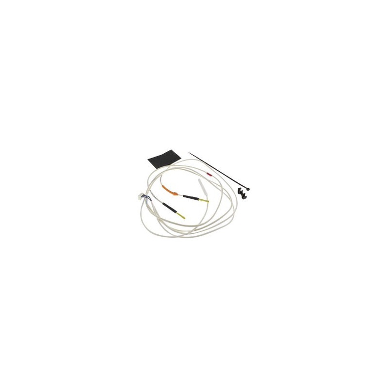 Temperature probe unit- ATLANTIC - 029279