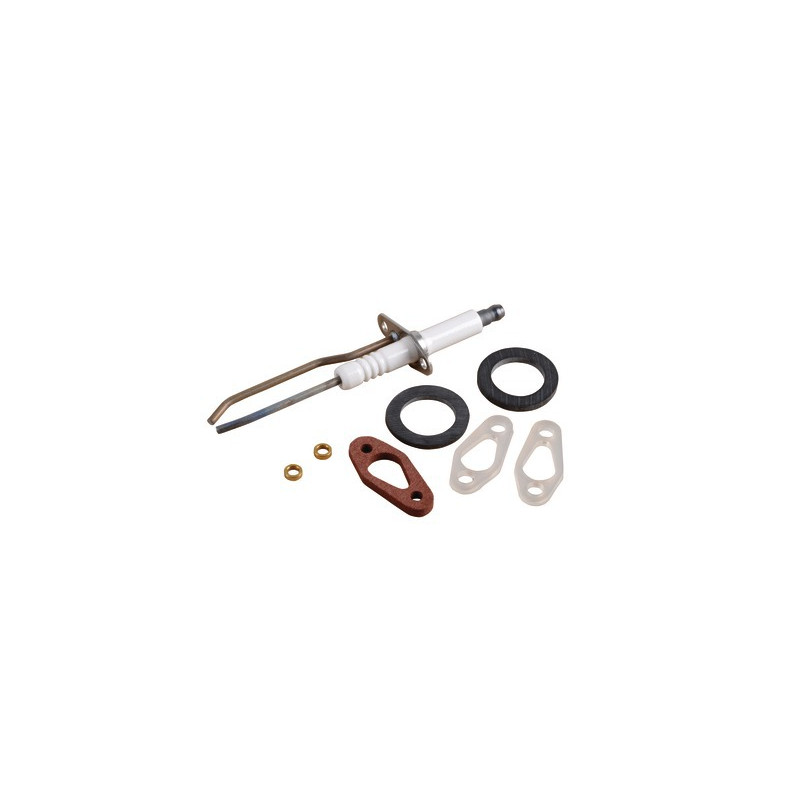 Ignition electrode + flame sensing probe + seal- DE DIETRICH - 0295165