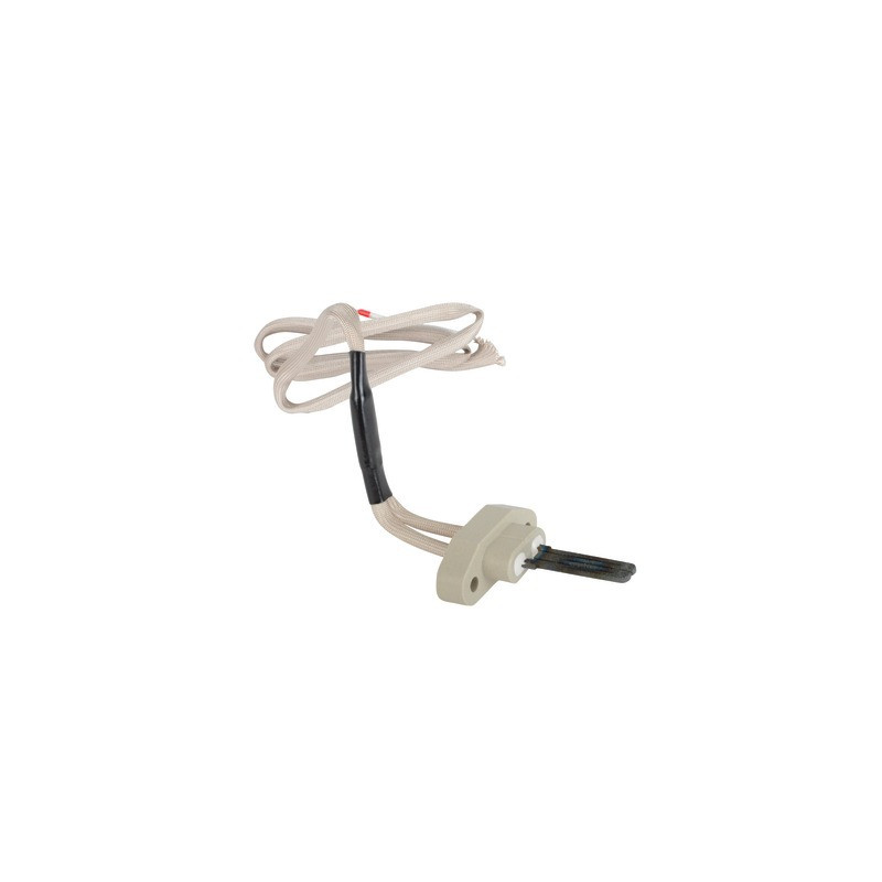 Service kit for ignition- AOSMITH - 0303493(S)