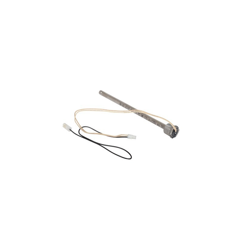 Service kit for ignition- AOSMITH - 0304079(S)