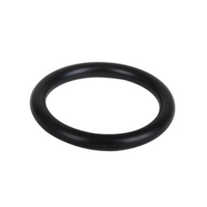 O-ring- AOSMITH - 0304741(S)