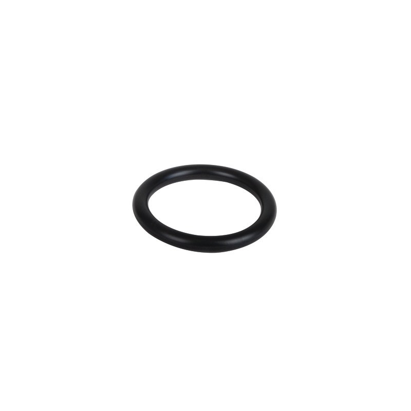 O-ring- AOSMITH - 0304741(S)