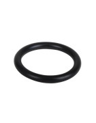 O-ring- AOSMITH - 0304741(S)