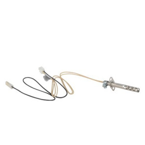 Service kit for ignition- AOSMITH - 0306338(S)