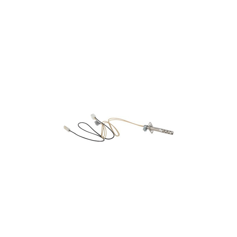Service kit for ignition- AOSMITH - 0306338(S)