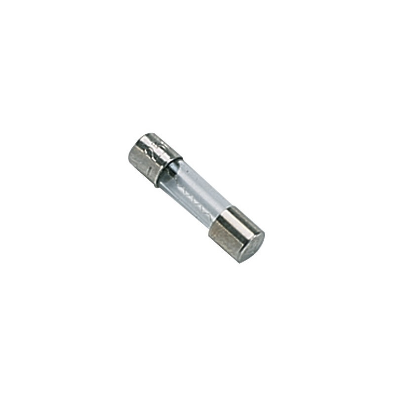 Fuse 2A- DIFF - 100219  - (X10)