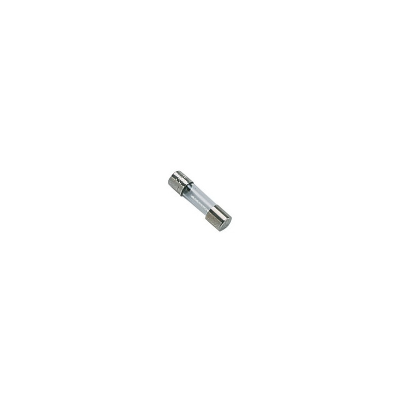 Fuse 200 mA- DIFF pour Saunier Duval - 05467400  - (X5)