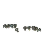 Screw set of 10- VAILLANT - 105900  - (X10)