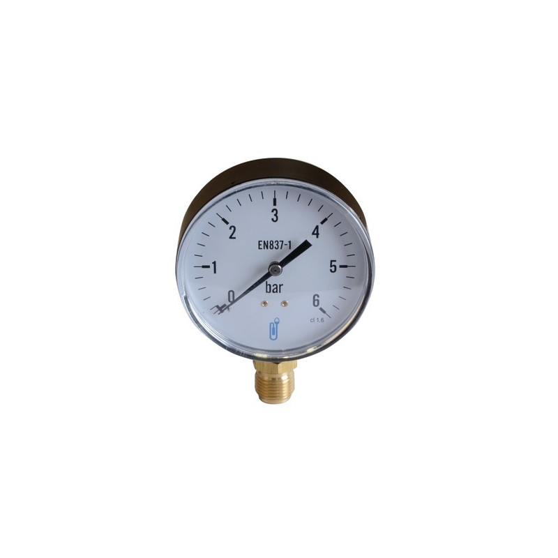Water & air pressure gauge 0/6 bar ø100mm- DIFF - 109467