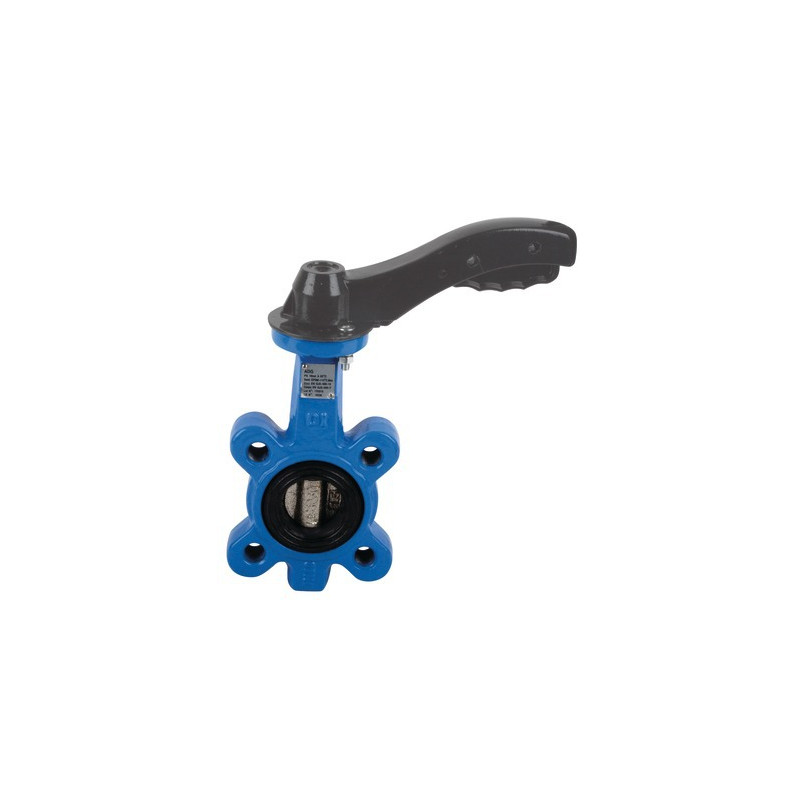 Lug butterfly valve D125- DIFF - 110178