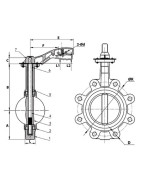 Lug butterfly valve D125- DIFF - 110178