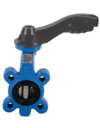 Lug butterfly valve D150- DIFF - 110179
