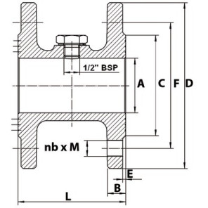 Spacer sleeve D125 NF29323- SFERACO - 1195125