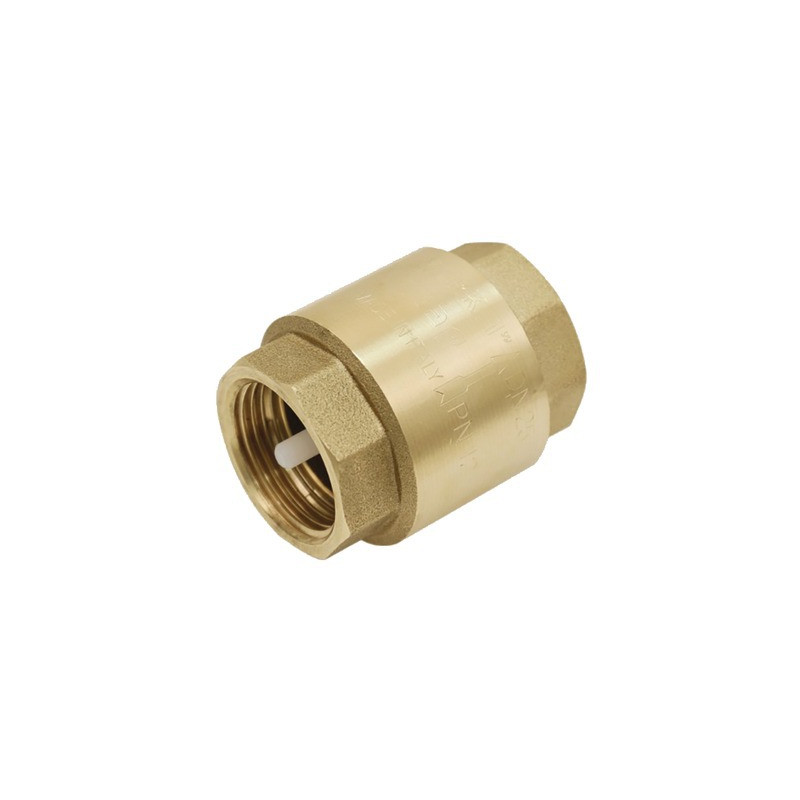 Brass all-position non-return valve nylon valve 3/4- DIFF - 110238