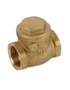 EPDM rubber single flapper valve 1/2"- DIFF - 110256