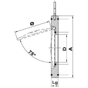 Stainless steel single flapper valve fkm 80- DIFF - 110273