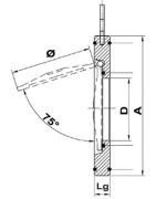 Stainless steel single flapper valve fkm 200- DIFF - 110277