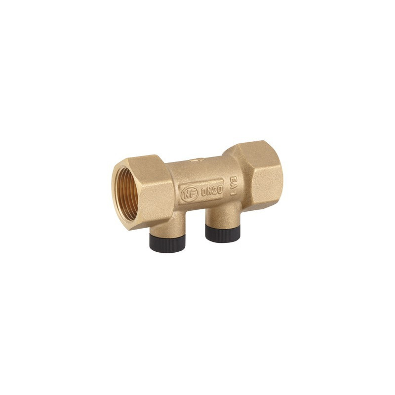 Anti-pollution check valve NF hosta 3/4" FF- DIFF - 110305