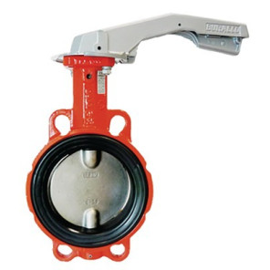 Butterfly valve with DN65 cast iron centring disk- BURACCO - CL623B065ICCL