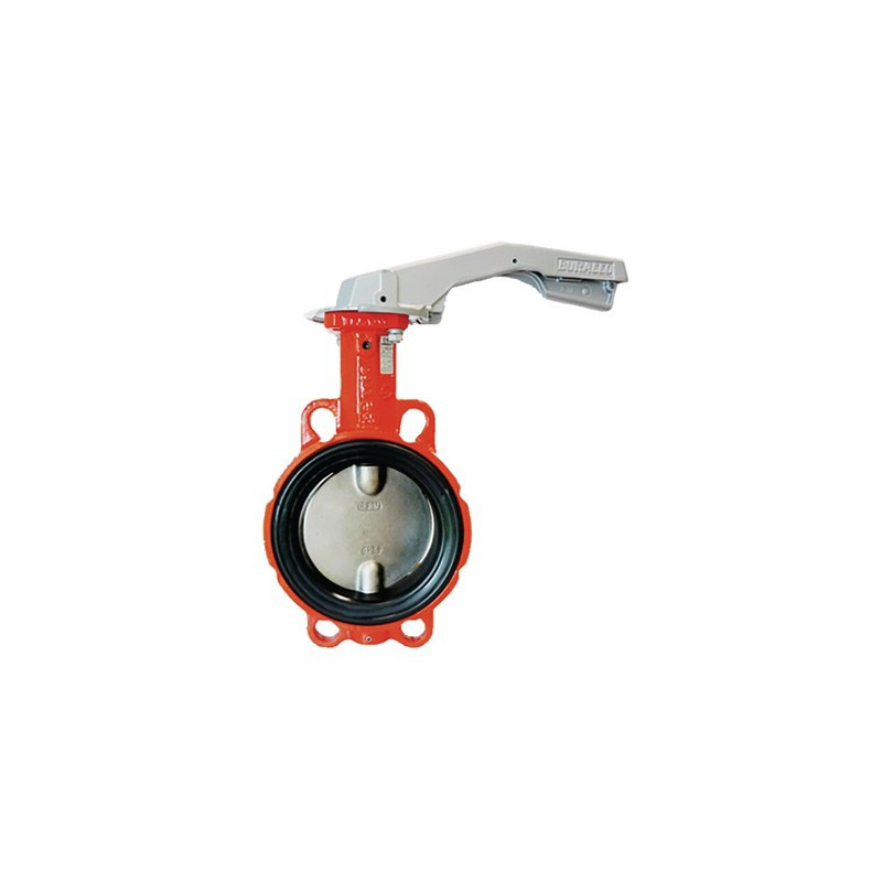 Butterfly valve with DN65 cast iron centring disk- BURACCO - CL623B065ICCL
