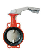 Butterfly valve with DN65 cast iron centring disk- BURACCO - CL623B065ICCL