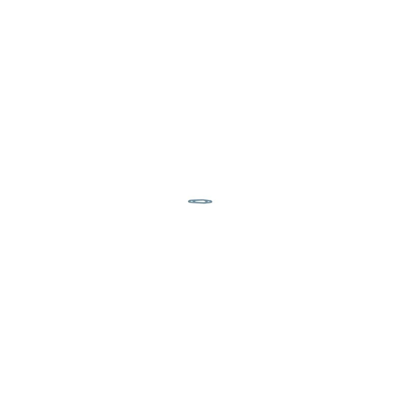 Electrode gasket- DIFF pour Chaffoteaux - 60000286-01