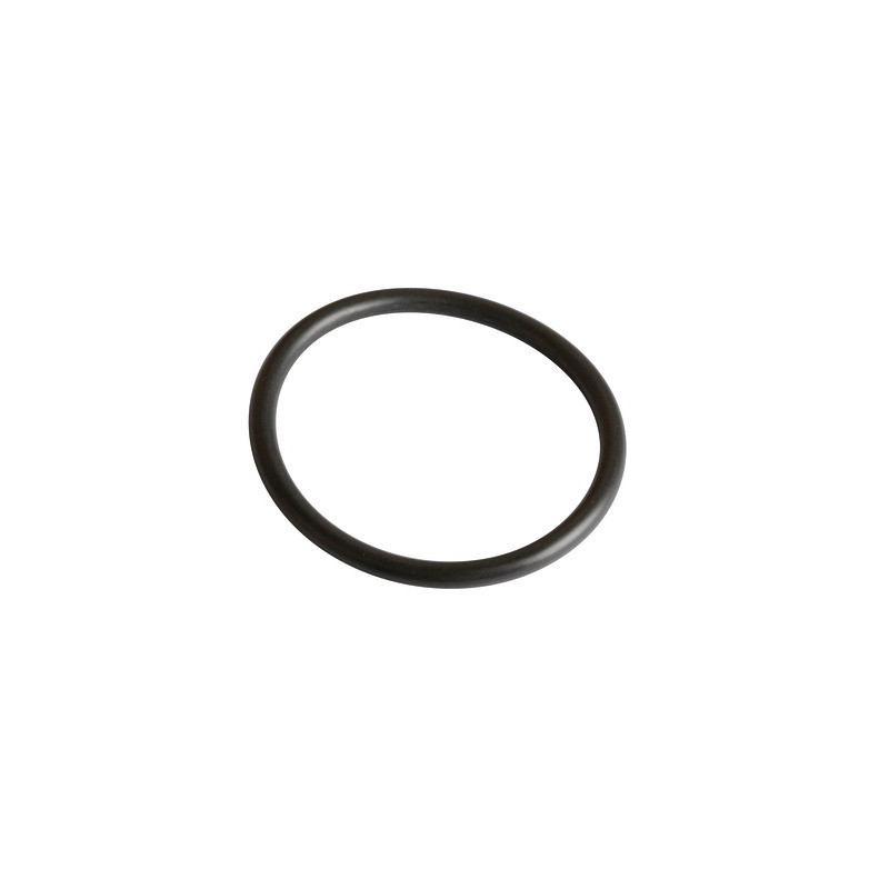 Gasket r36 viton (sensor v97)- FRISQUET - 240134