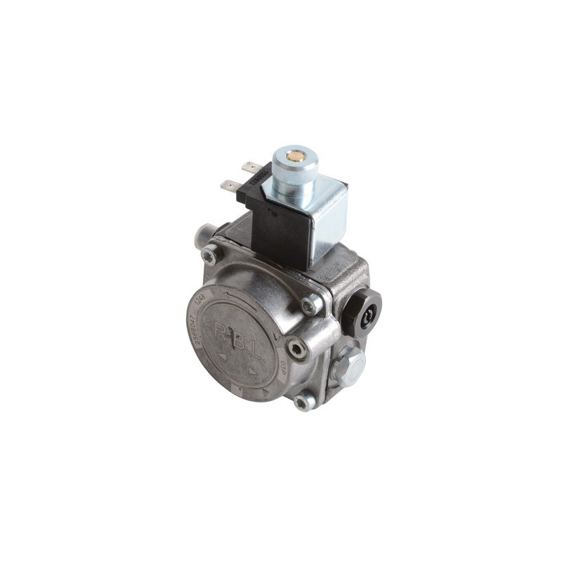 Pump RIELLO- RIELLO - 3002495