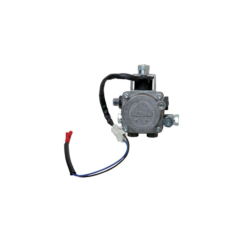 pump BINOMIO- RIELLO - 3002543
