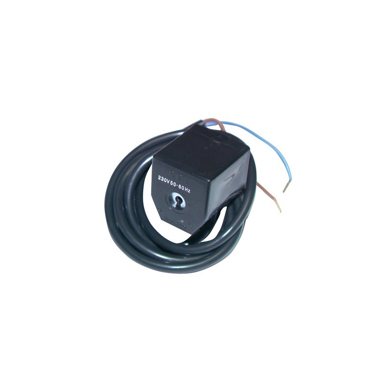Coil RL38- RIELLO - 3003828
