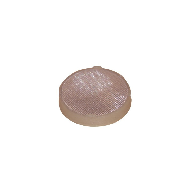 Filter pump- RIELLO - 3005719