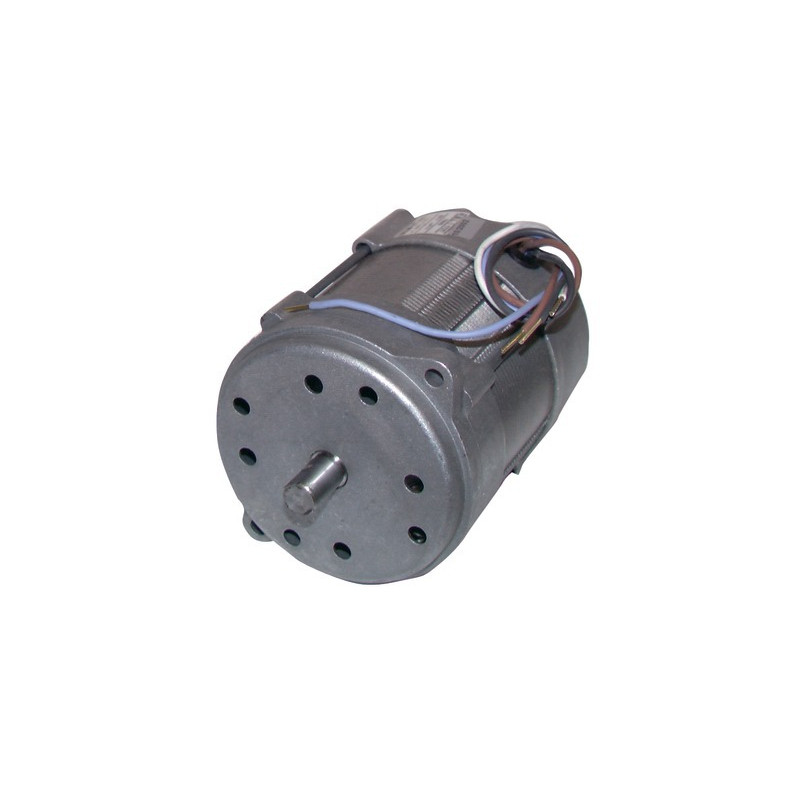 Motor 150w p/15m/20m type 518se- RIELLO - 3005820