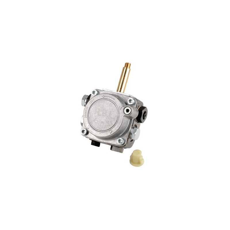 Pump F10K- RIELLO - 3006918