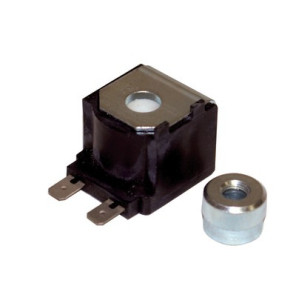 Coil- RIELLO - 3007565