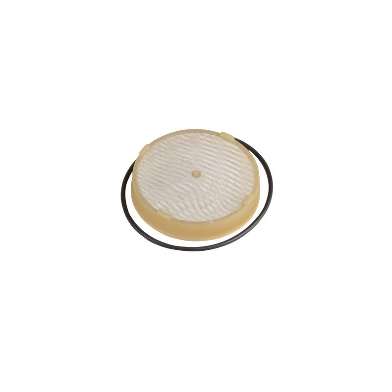 Filter and gasket- RIELLO - 3008653