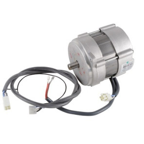 Motor- RIELLO - 3008681