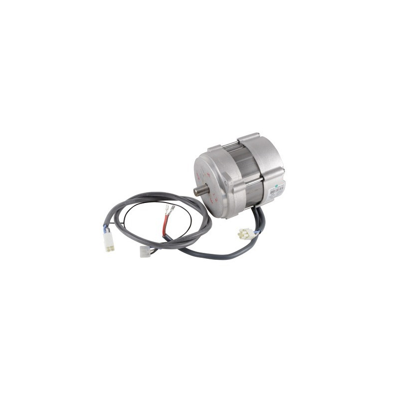 Motor- RIELLO - 3008681