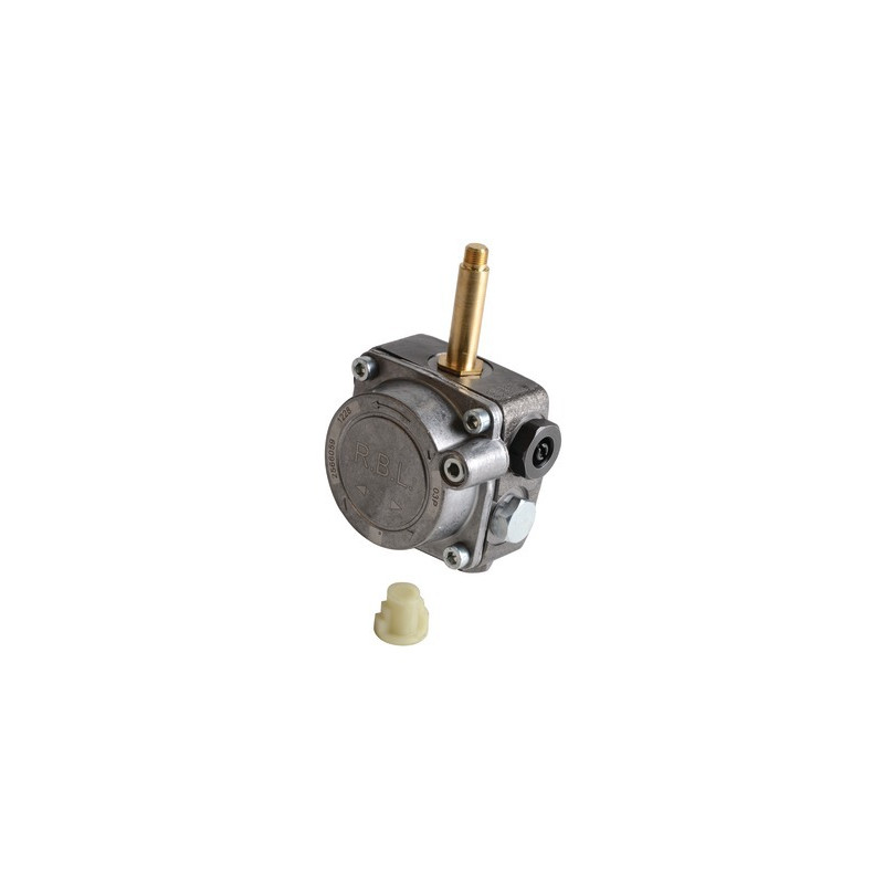 Pump- RIELLO - 3008848