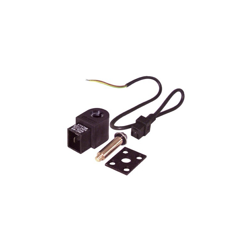 Solenoid valve pump al 220v (3713798/991502)- SUNTEC - 991532/ALREV2