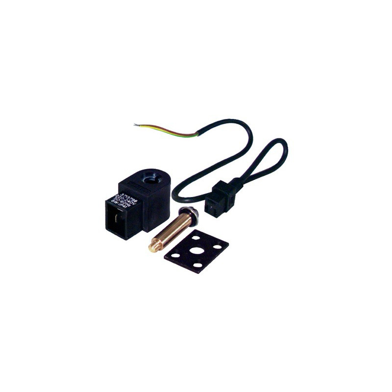 Solenoid valve pump as 220v (991435)- SUNTEC - 991435