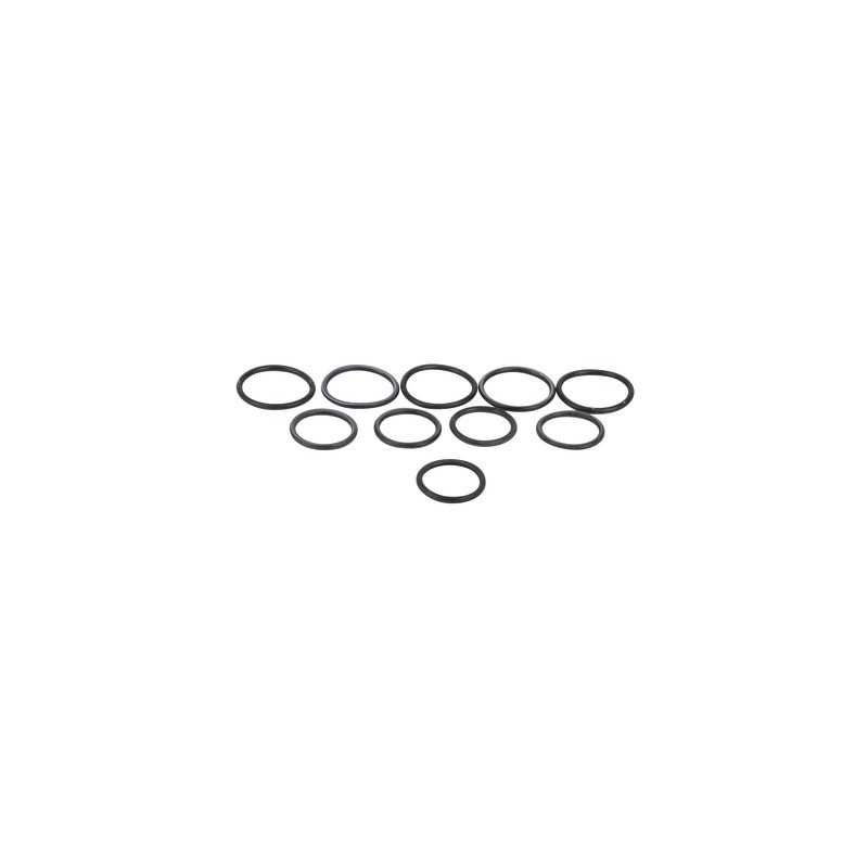 Anode seal for cylinder (2 sets of 5)- DIFF pour ELM Leblanc - 87167622050